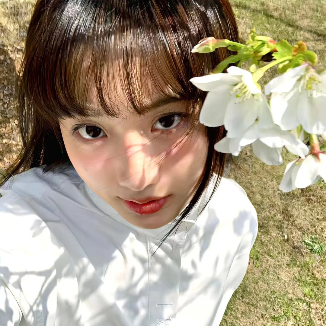 哥斯拉对美加洛